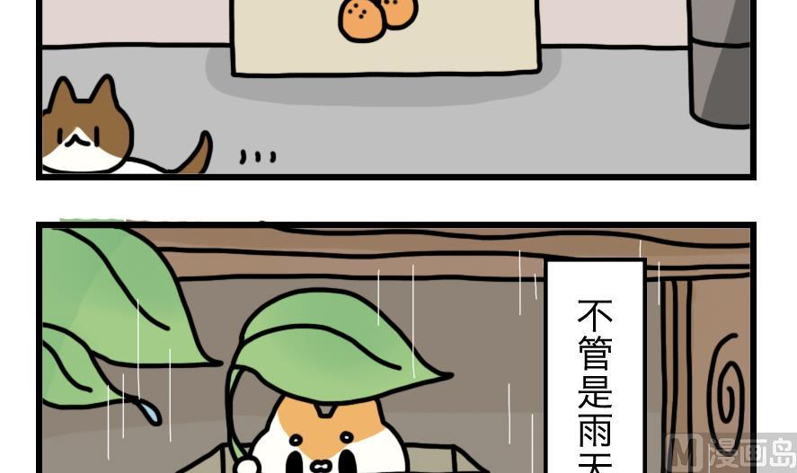 第3话 我和桔子纸皮箱的故事2
