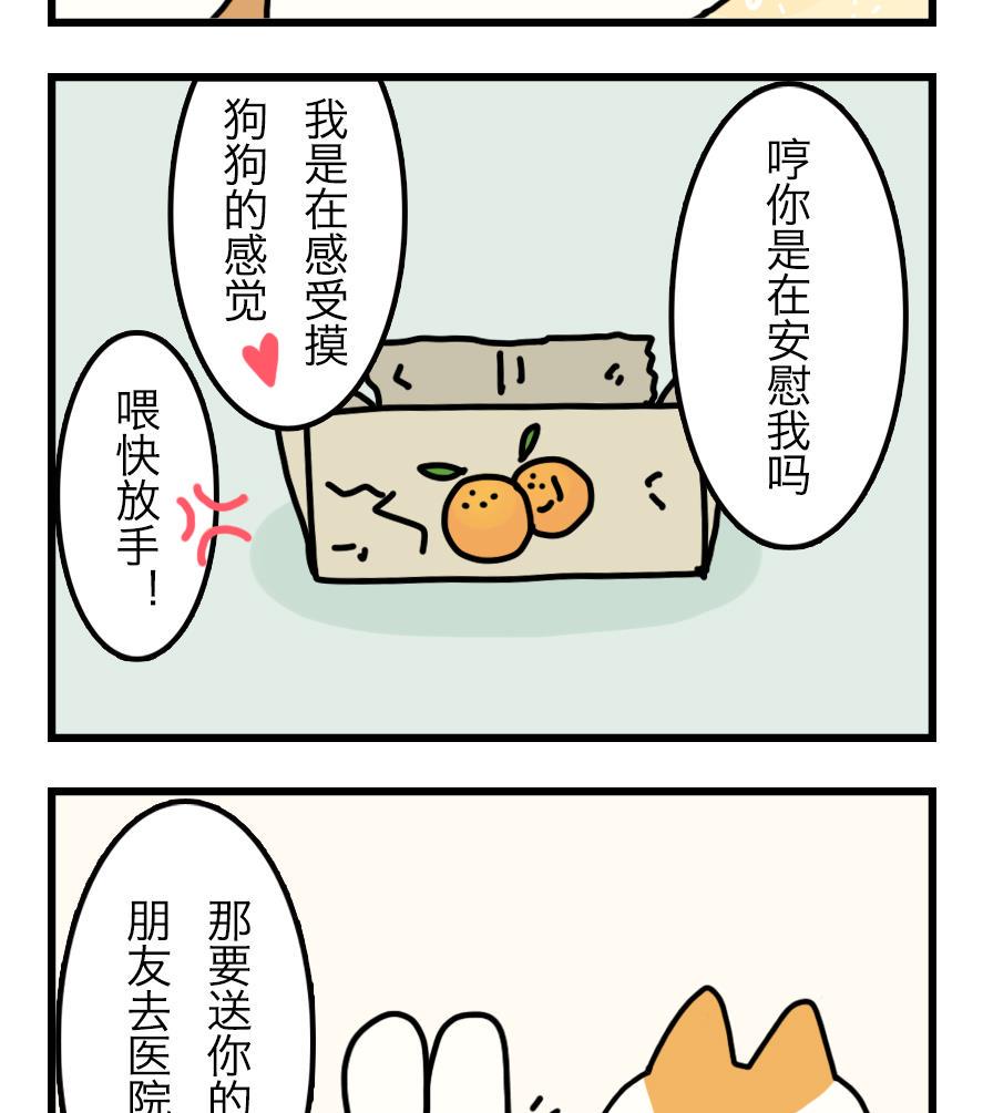 第2话 吃霸王餐是要做成兔头的？！ 下31