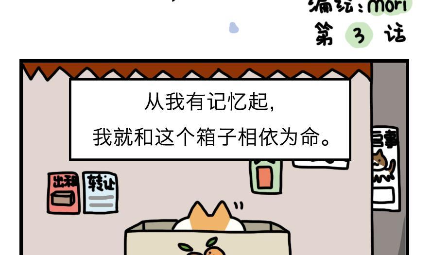 第3话 我和桔子纸皮箱的故事1