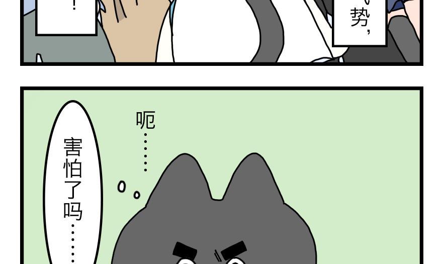 第15话 马克笔和小黑猫的梦想12