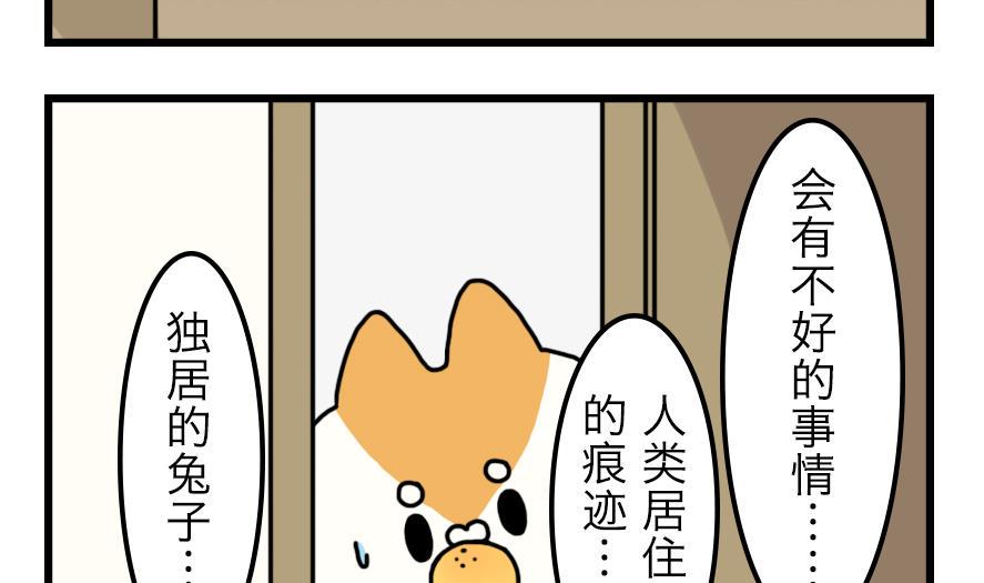 第11话 秘密揭晓……？！6