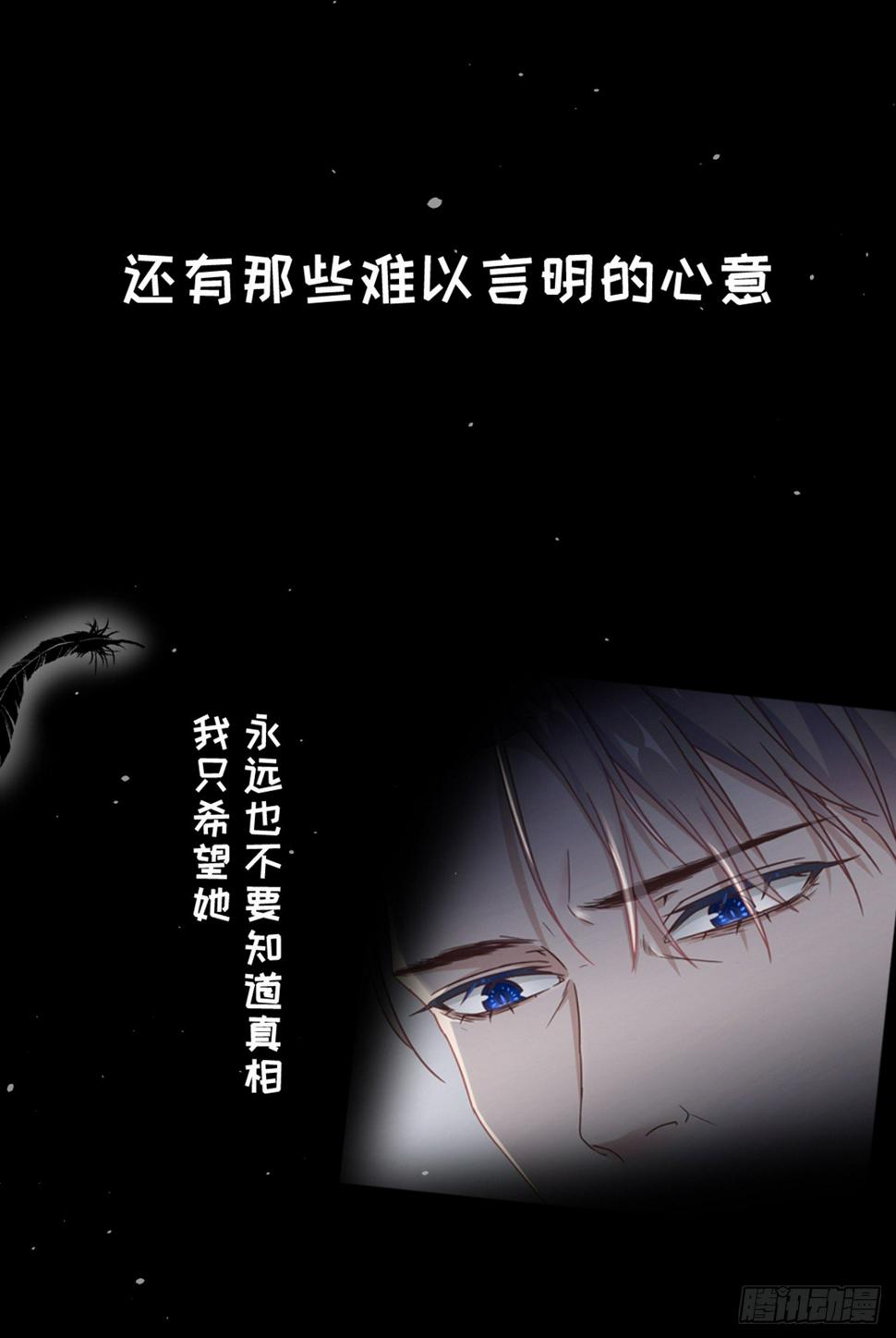 真·预告11
