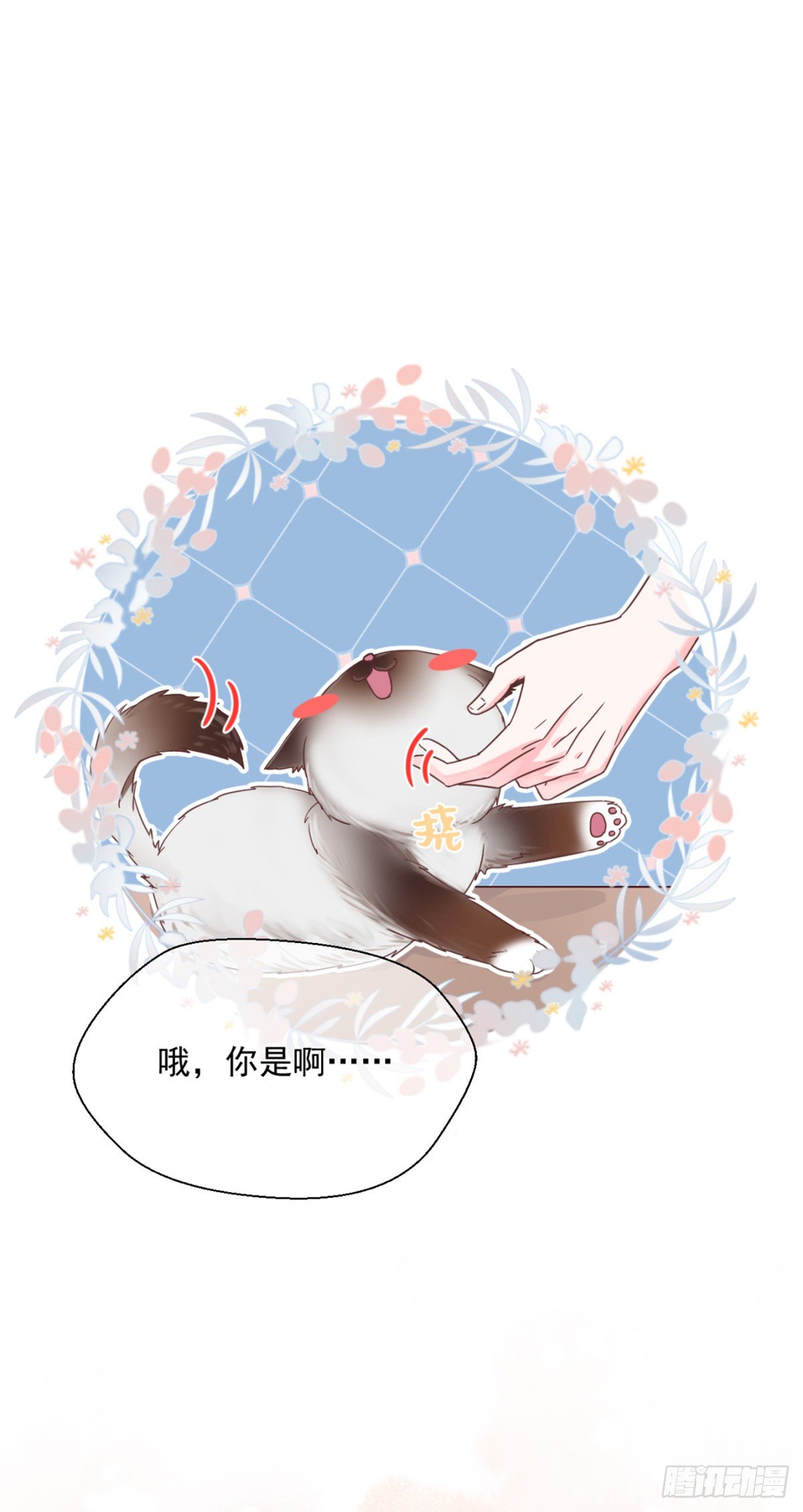 你可真像个男人11