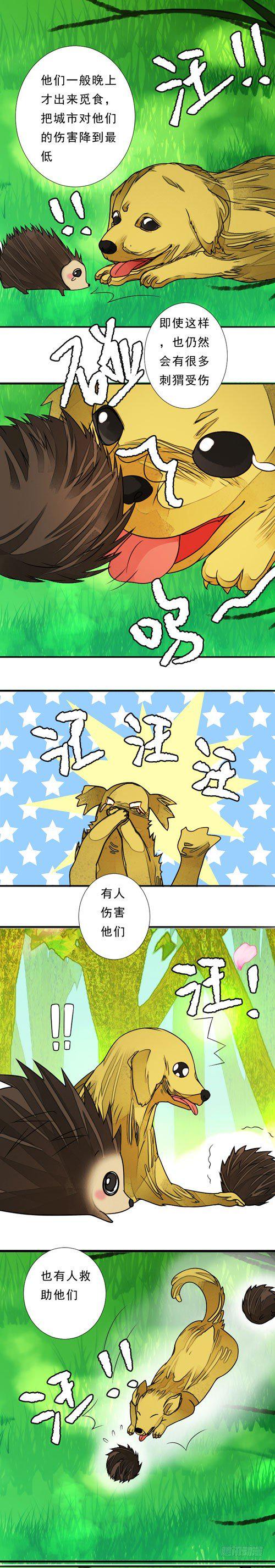 四十一话 放生（上）5