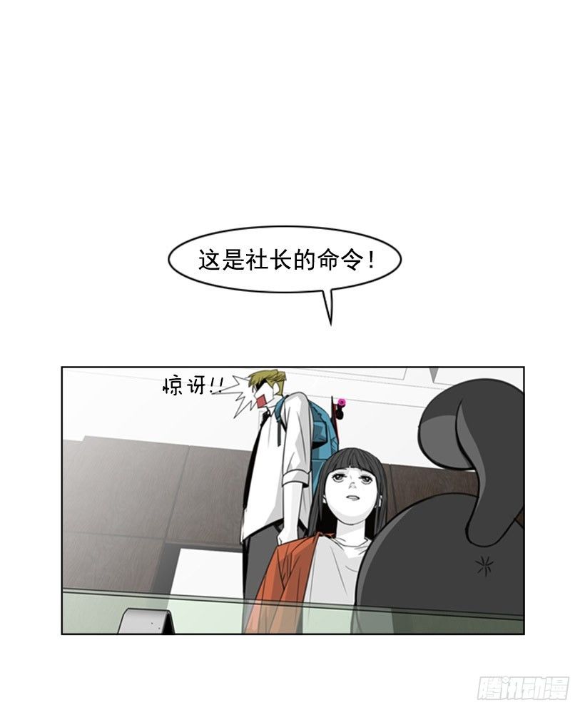 会说话的猫13