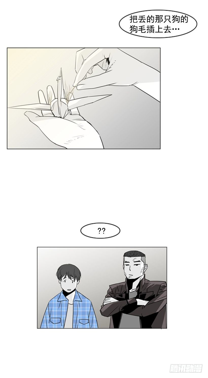 失踪的狗15