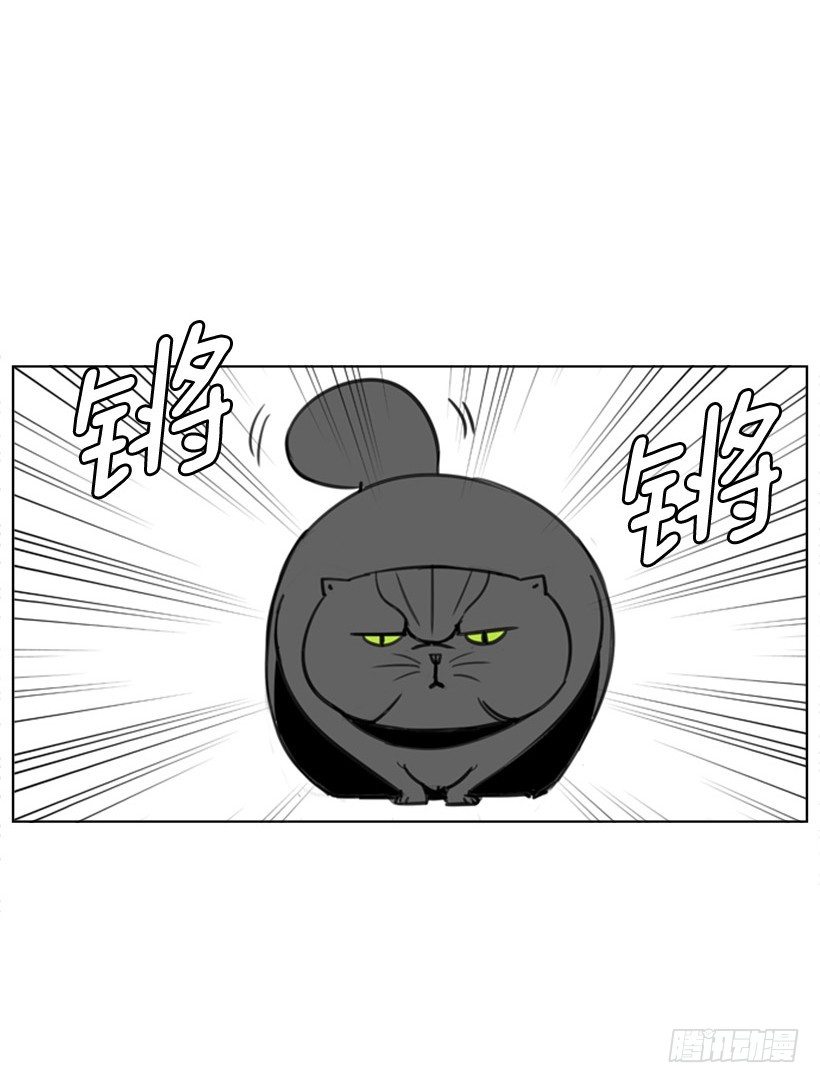 会说话的猫7