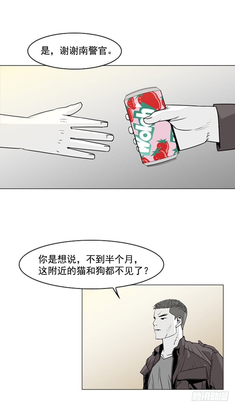 失踪的狗6
