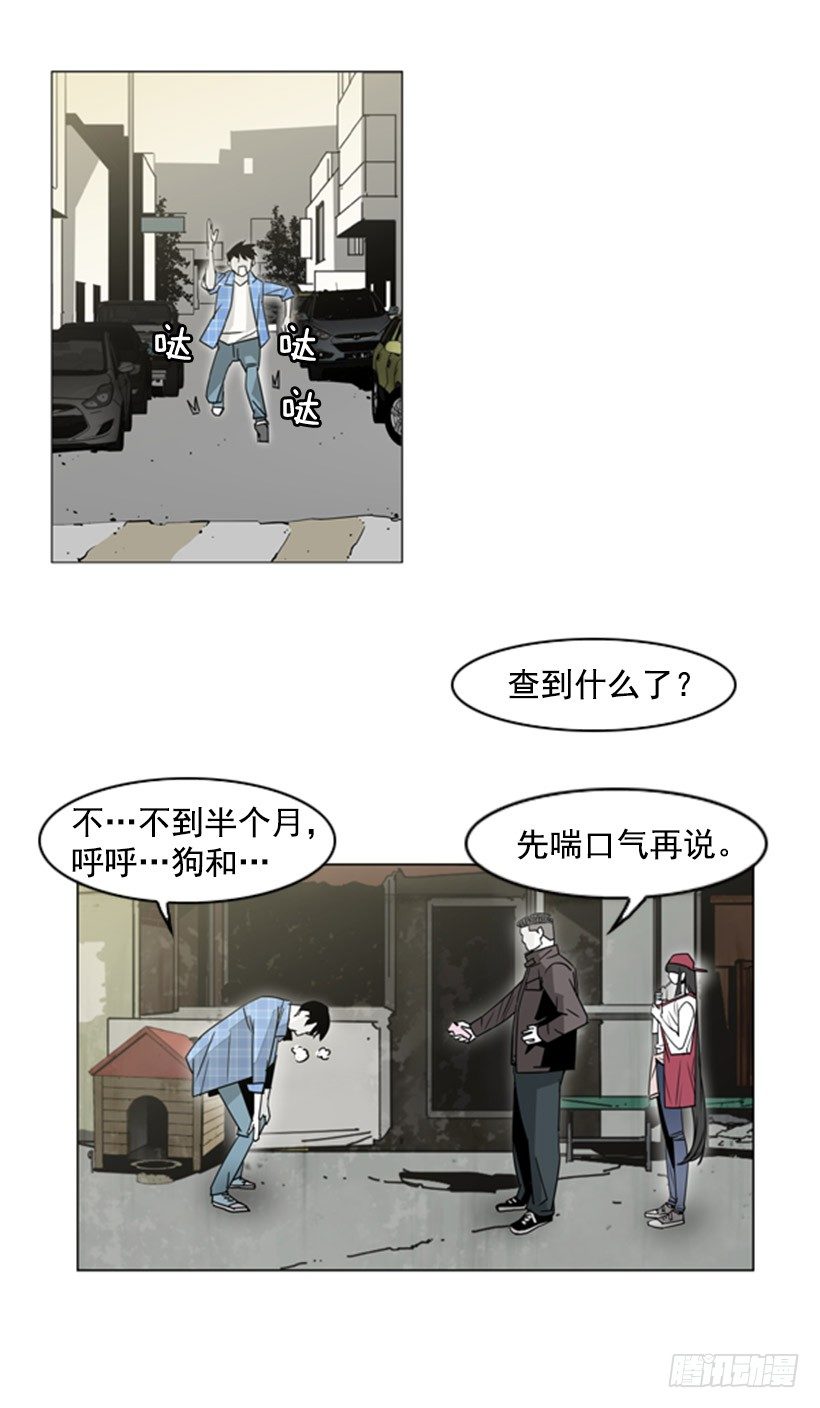 失踪的狗5