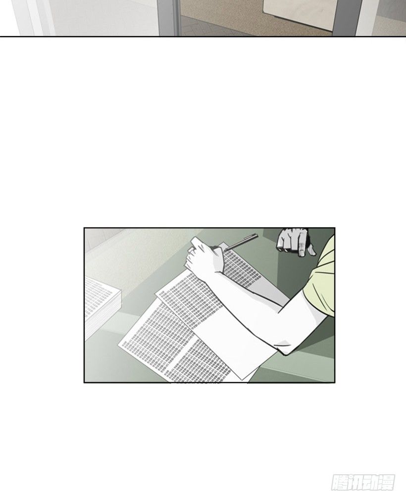 会说话的猫2