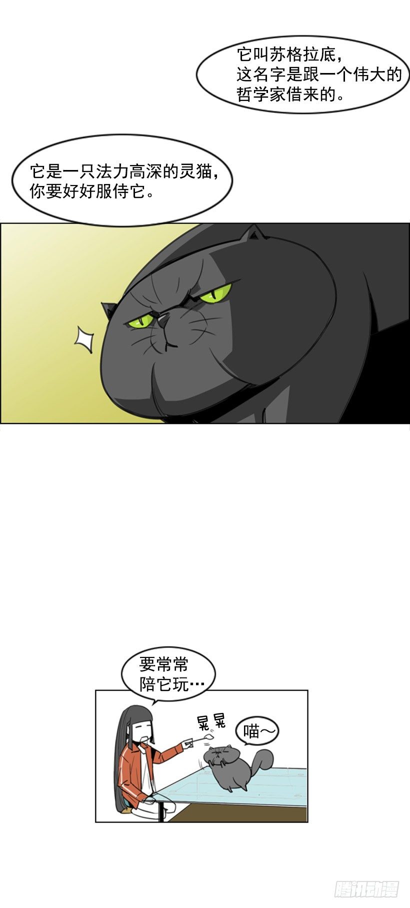 会说话的猫11