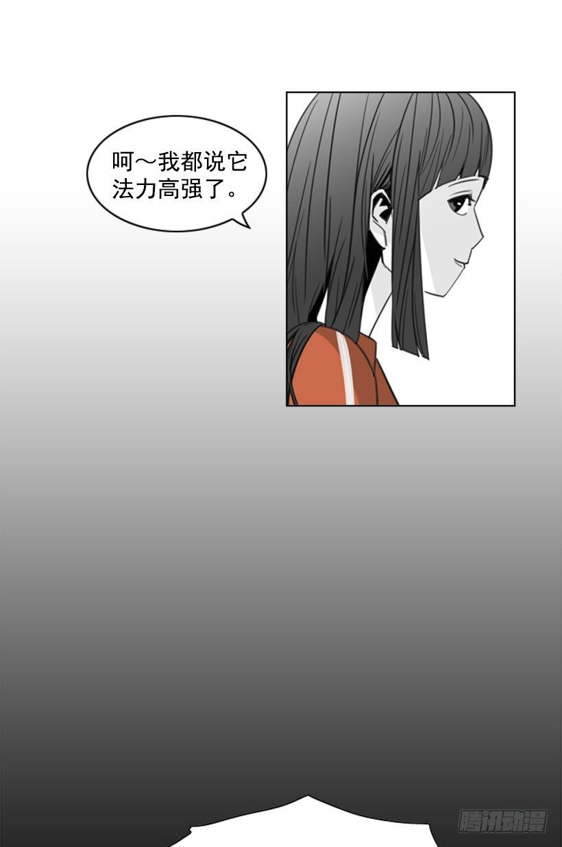 会说话的猫21