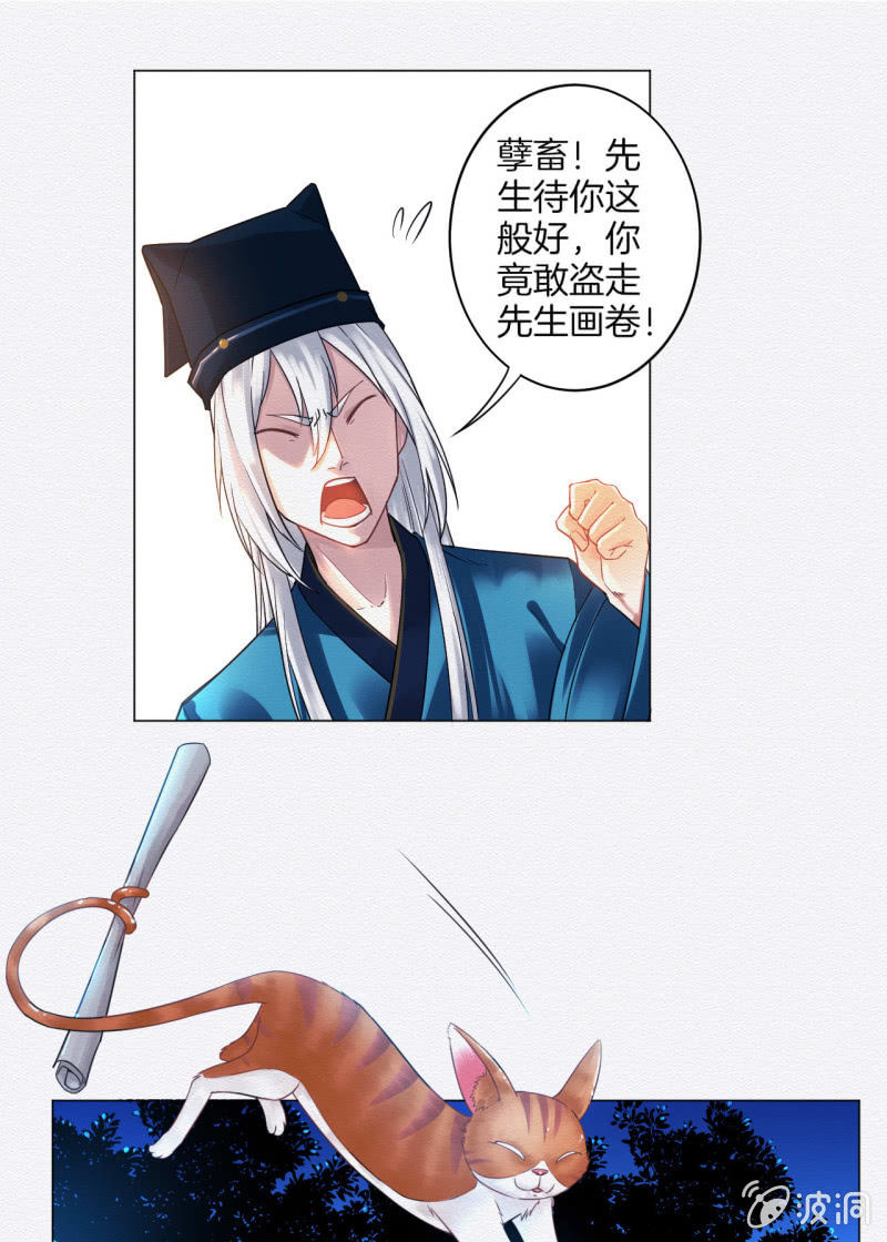 橘猫24