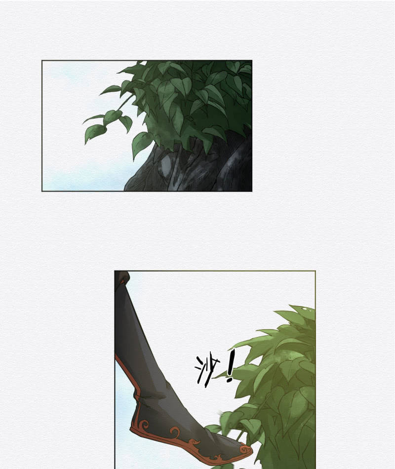 鸢尾花24