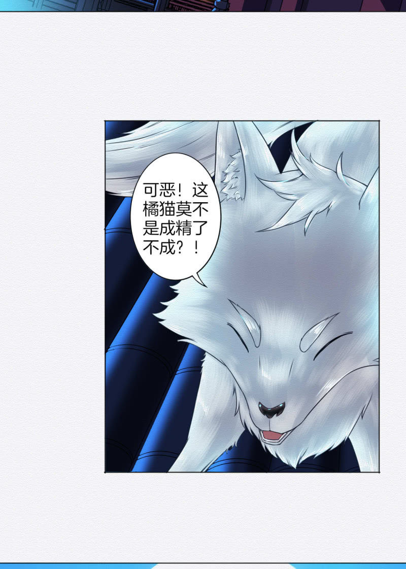 锦鲤6