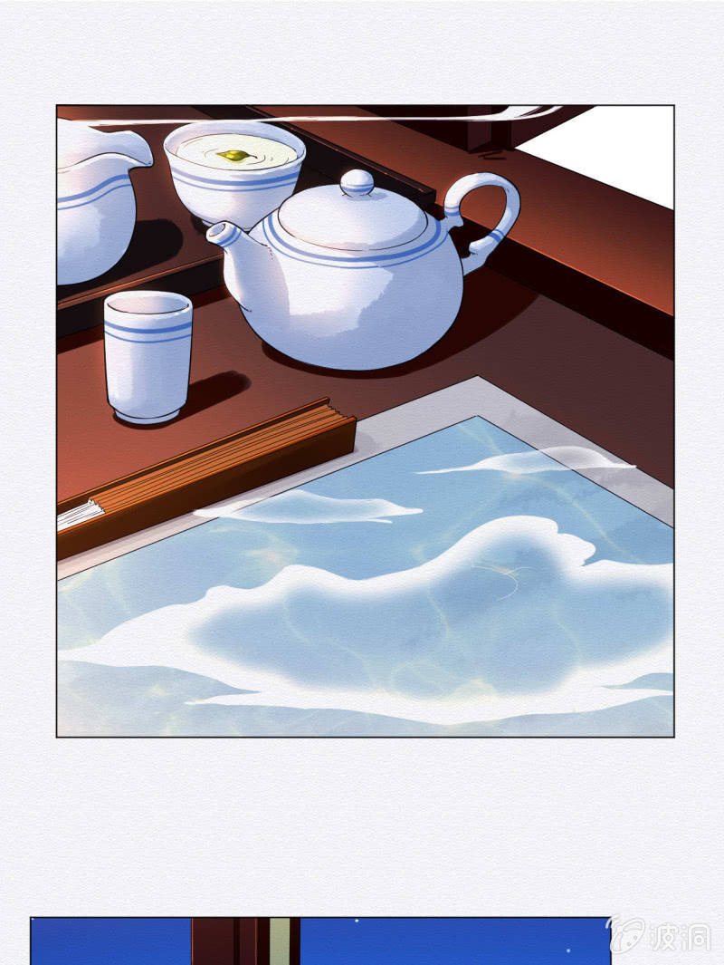 橘猫12