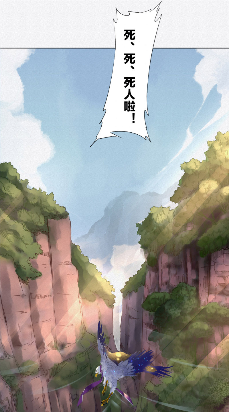 沈拓36