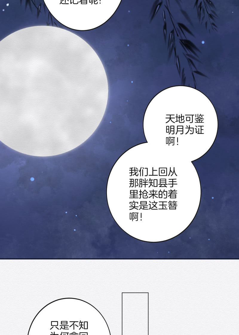 橘猫9