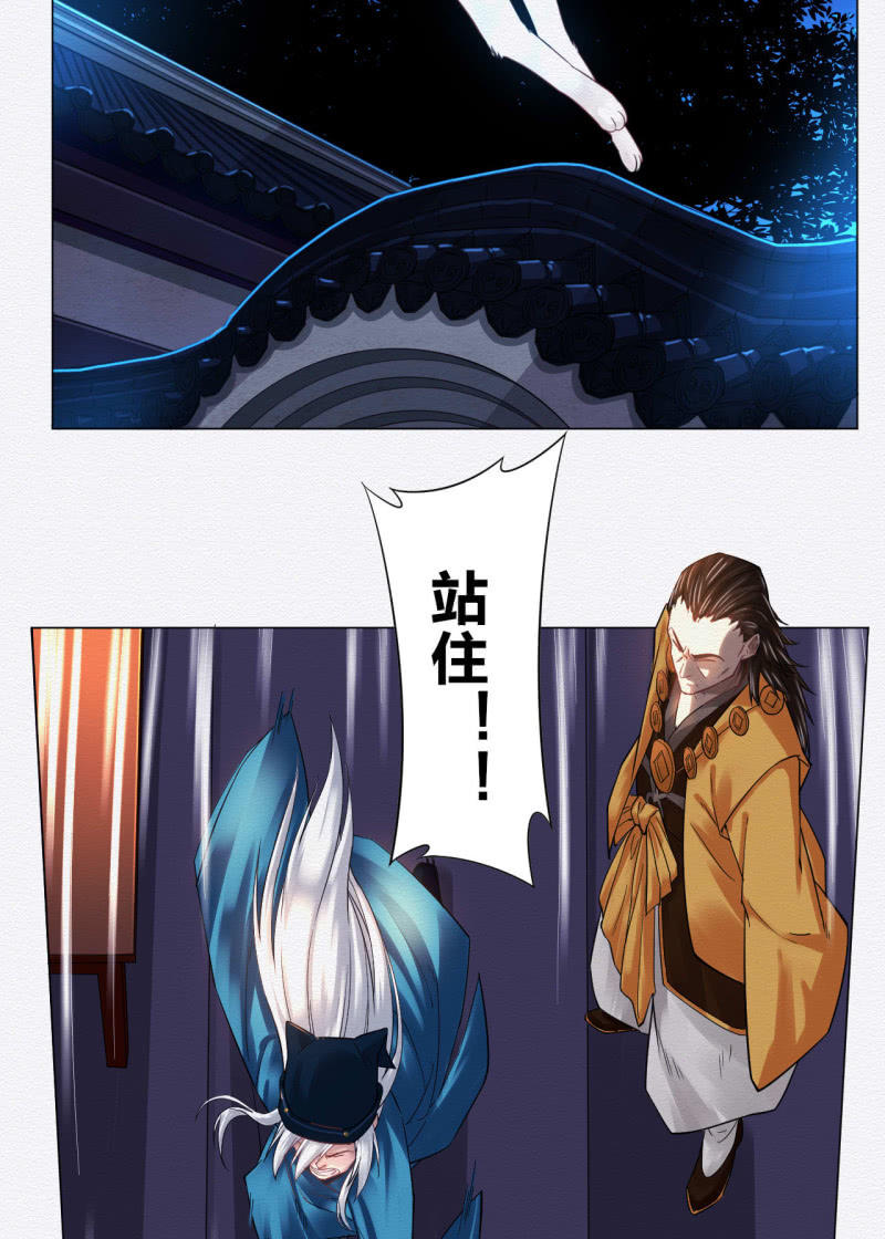 橘猫25