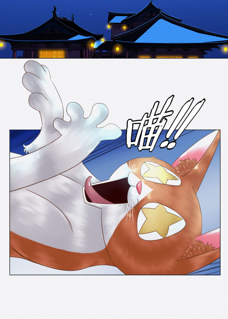 锦鲤31