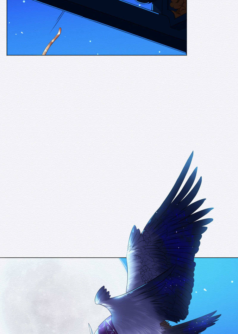锦鲤34