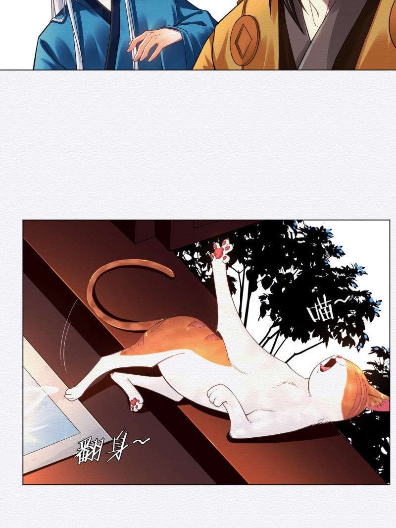 橘猫15