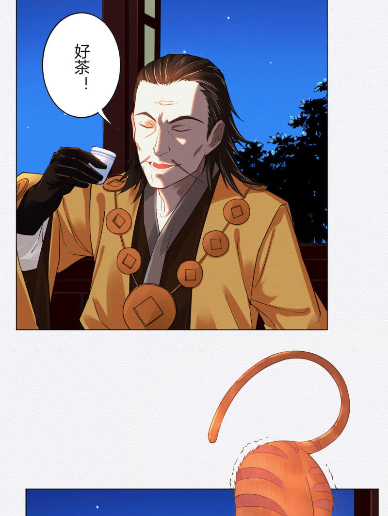 橘猫13