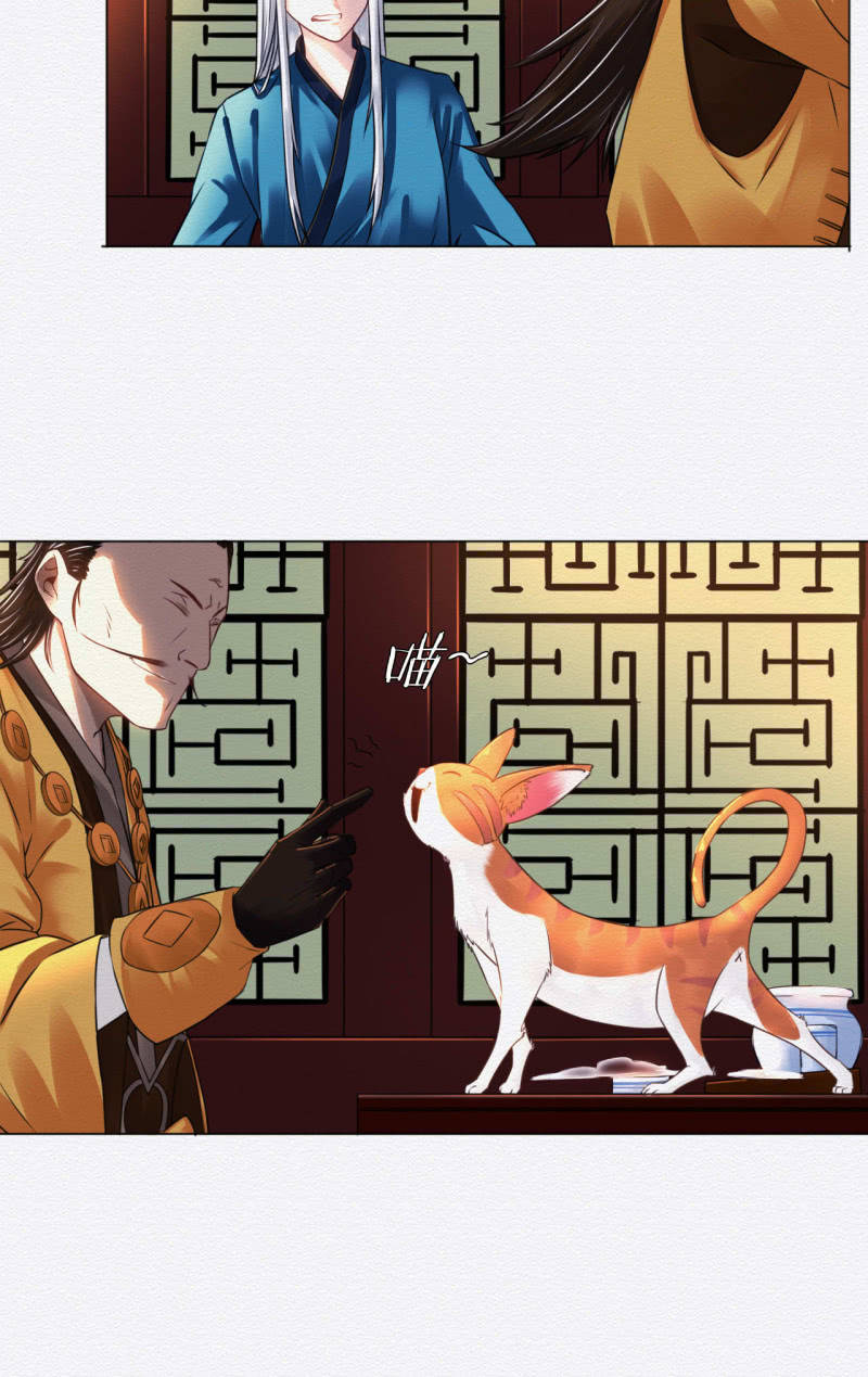 橘猫18