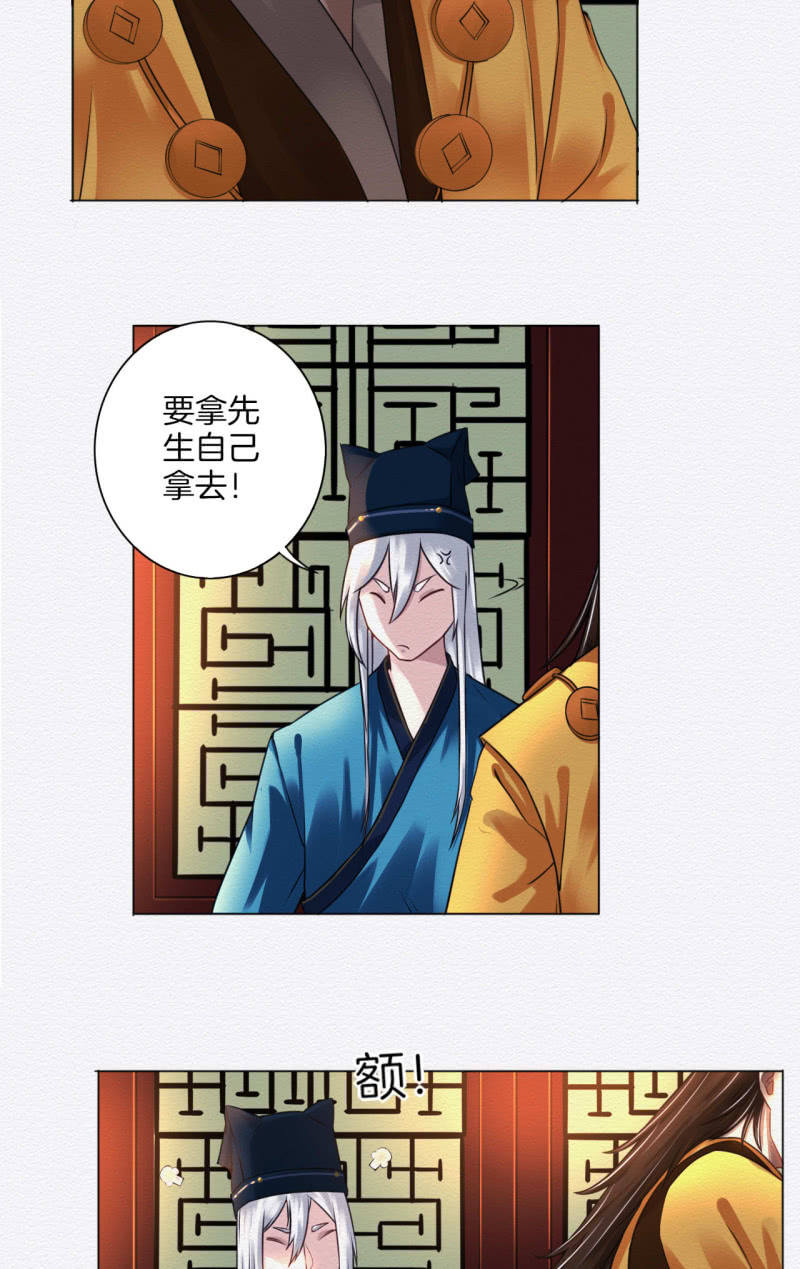 橘猫17