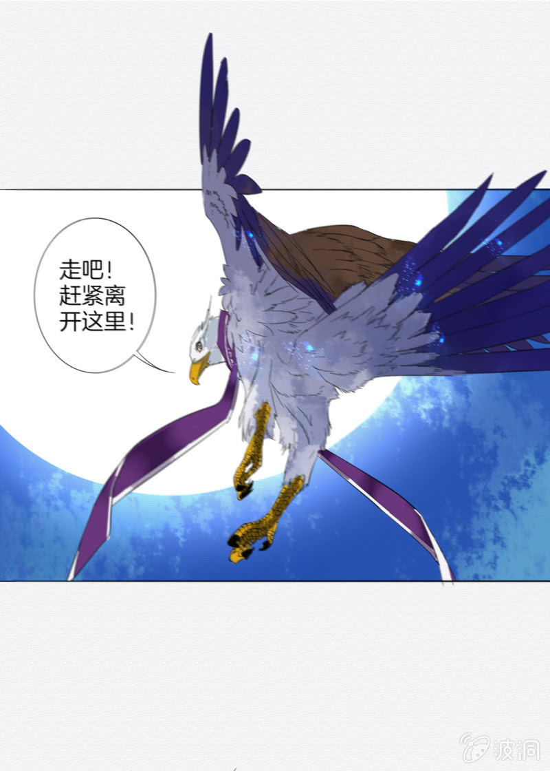 追风48