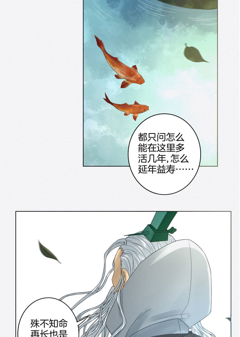 鸢尾花17
