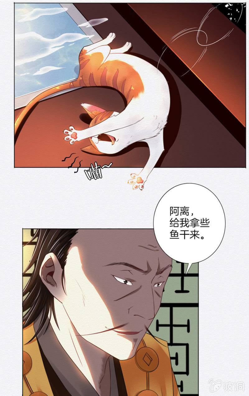 橘猫16