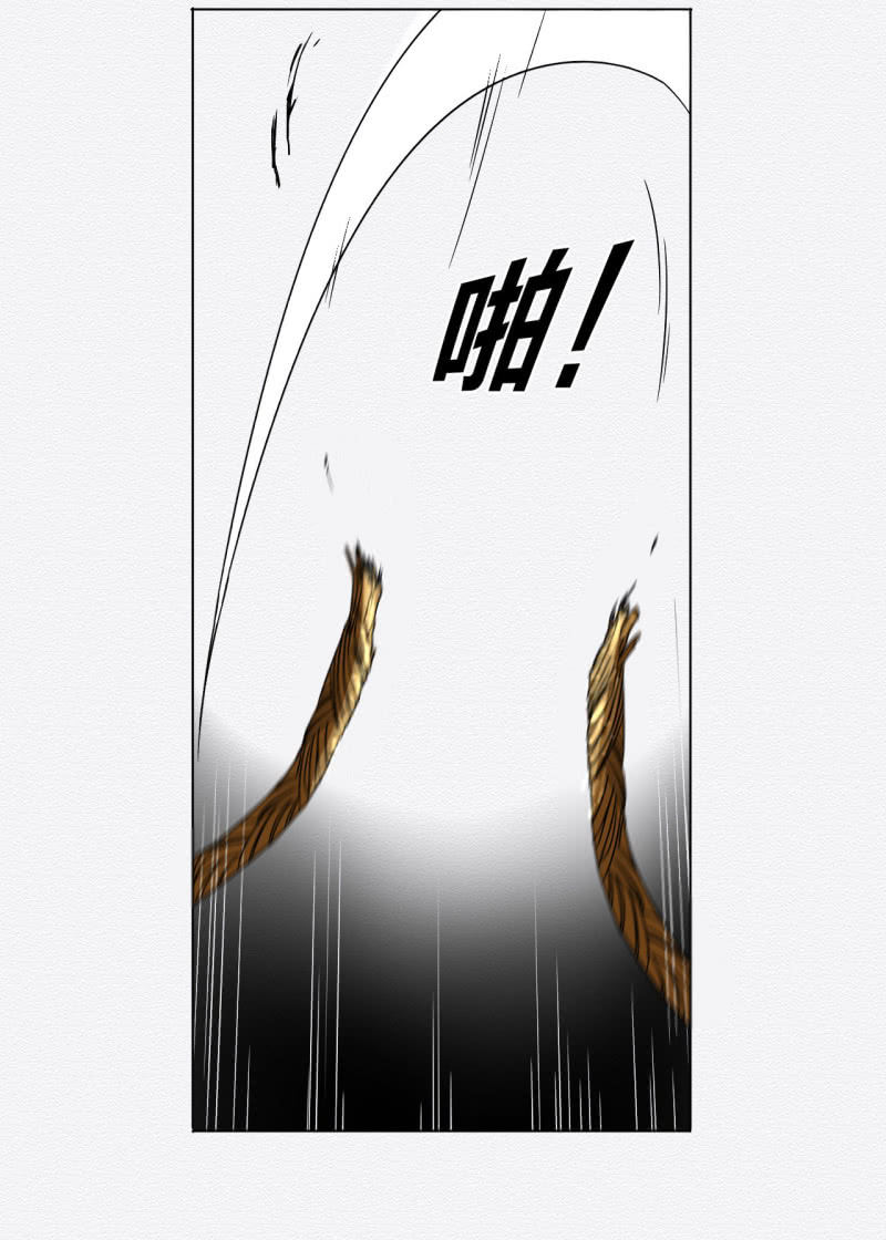 蟹煲7