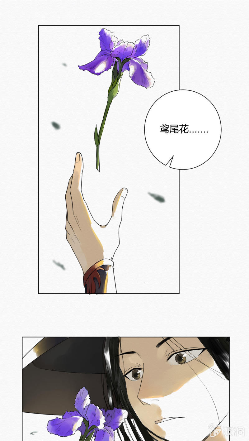 鸢尾花32