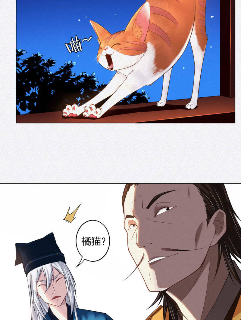 橘猫14