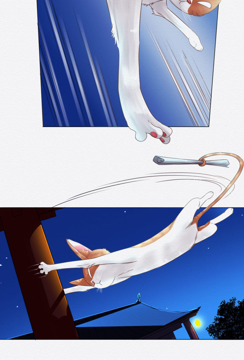 锦鲤3