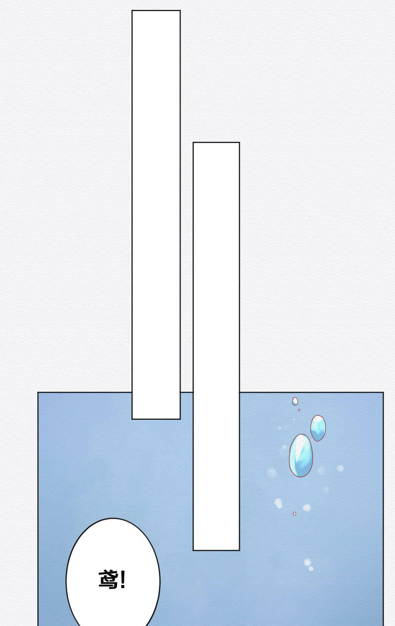 中原5