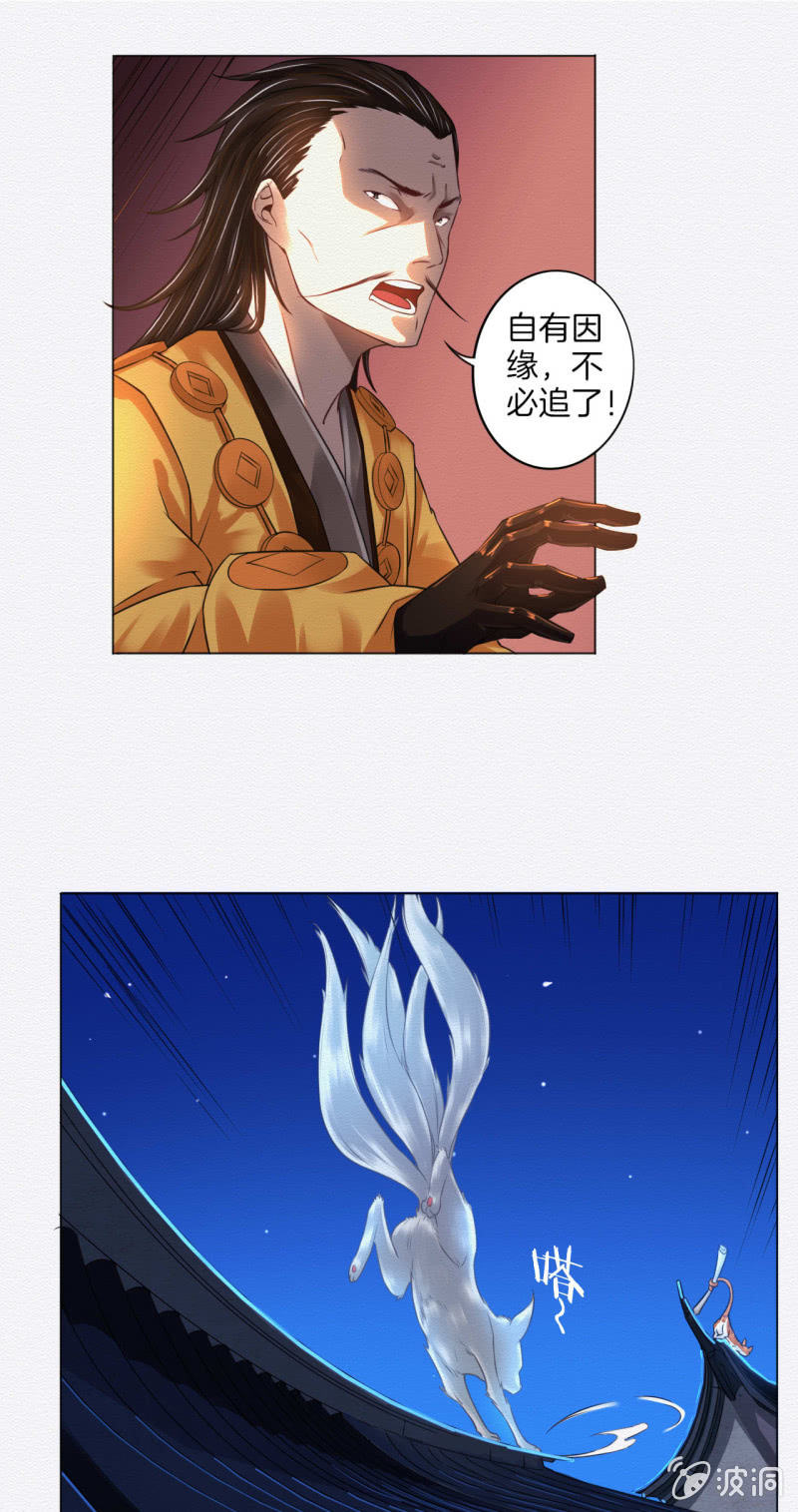 橘猫28