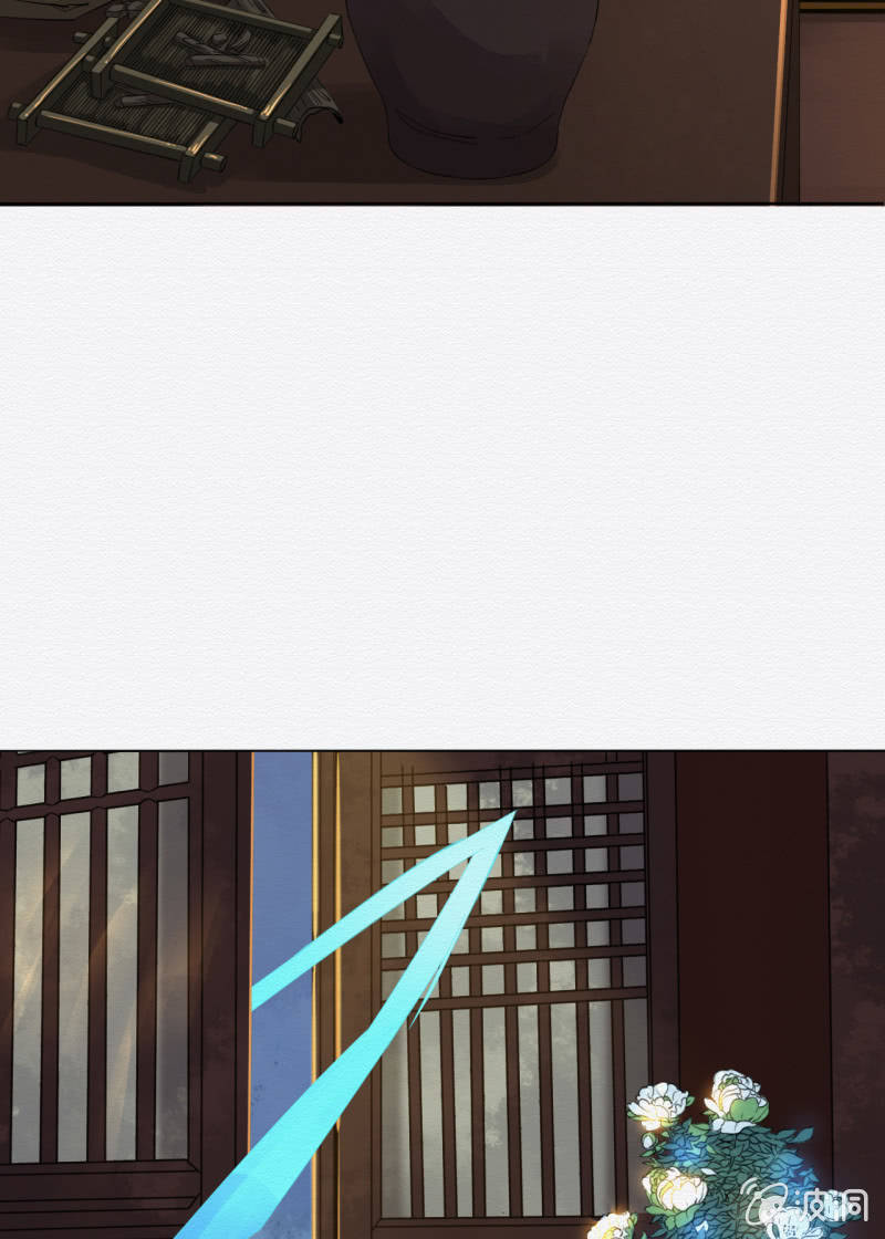 追风41