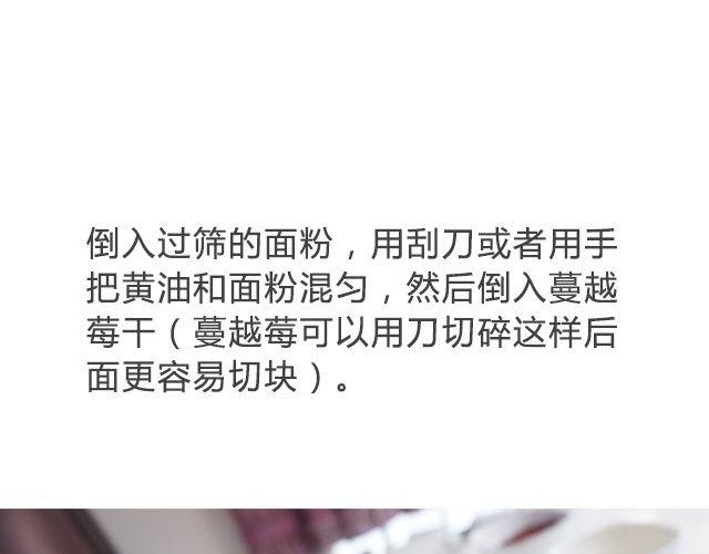 第16期 蔓越莓奶酥14