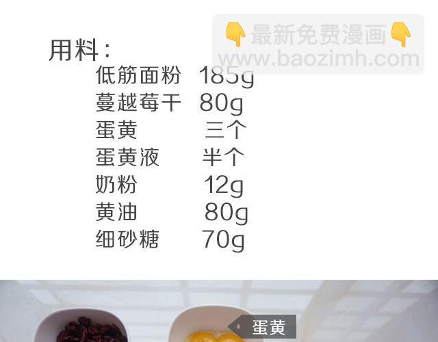 第16期 蔓越莓奶酥3
