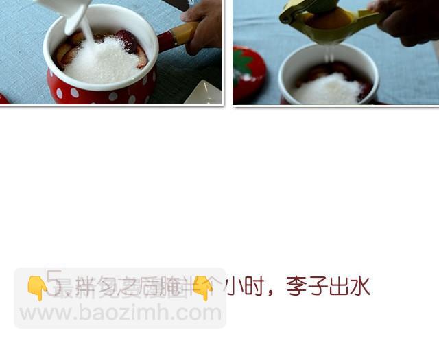 第11期 红李酱+肉桂苹果派风乳酪蛋糕9