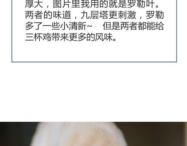 第15期 三杯鸡27