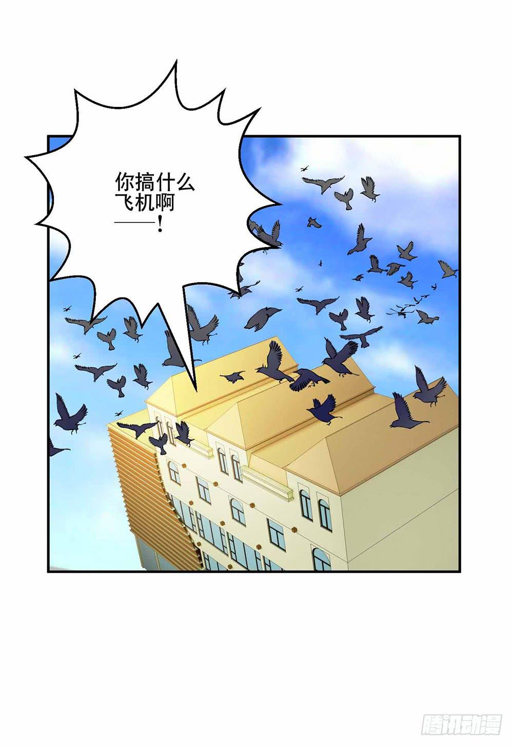 25 迷途乌鸦40