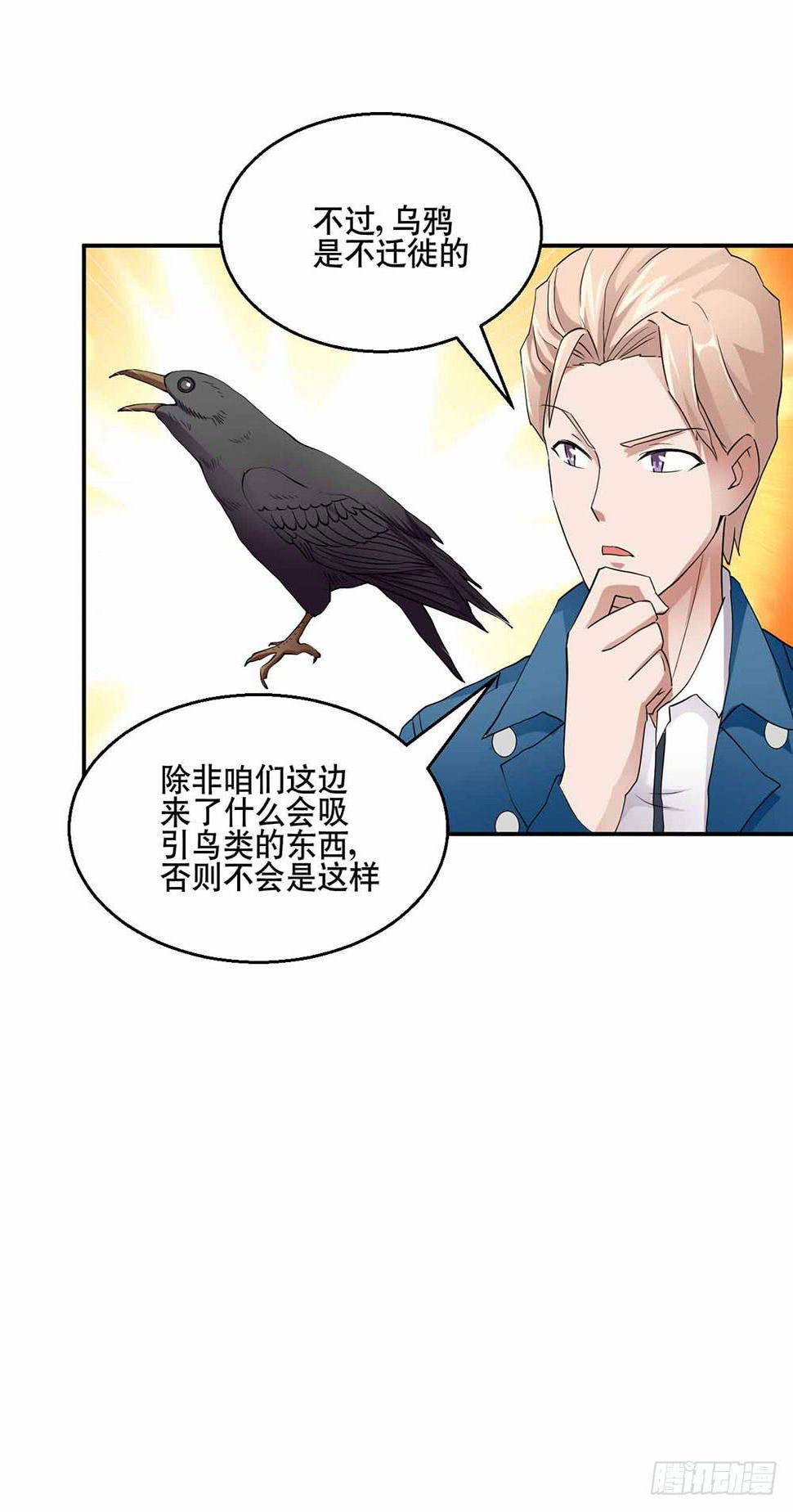 25 迷途乌鸦13
