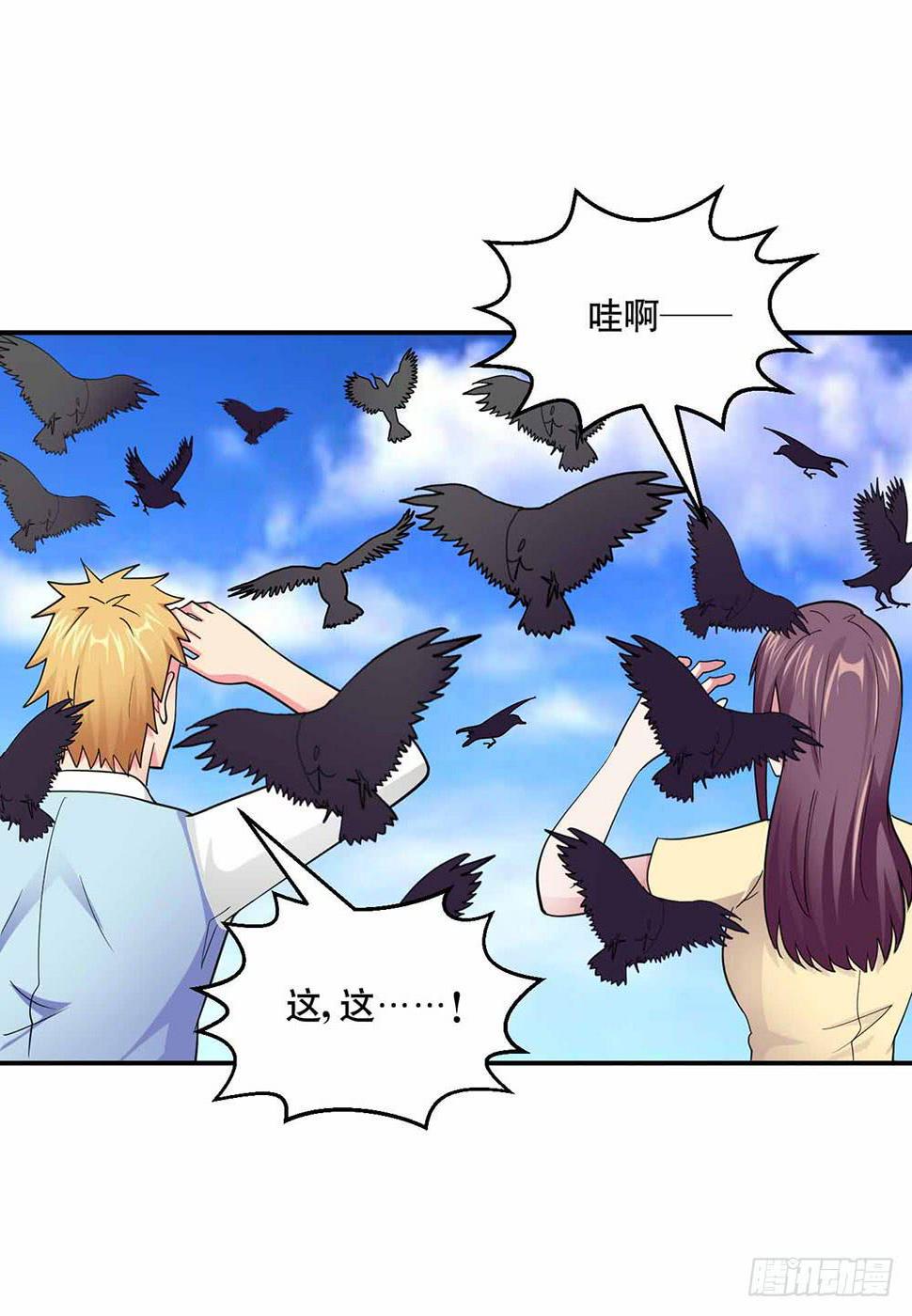25 迷途乌鸦45