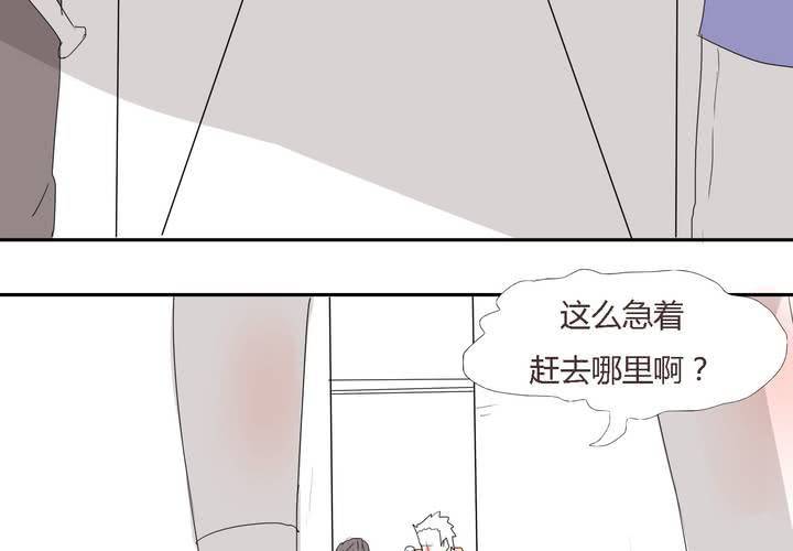 第二十七话 笼中鸟19