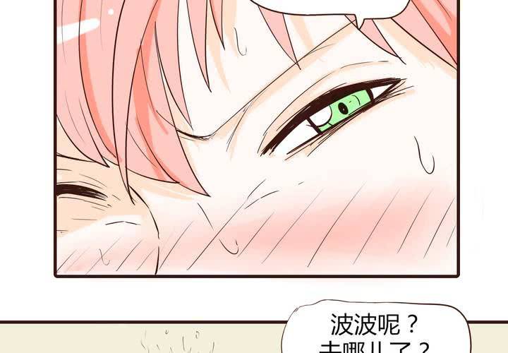 第十三话 波波的故事327