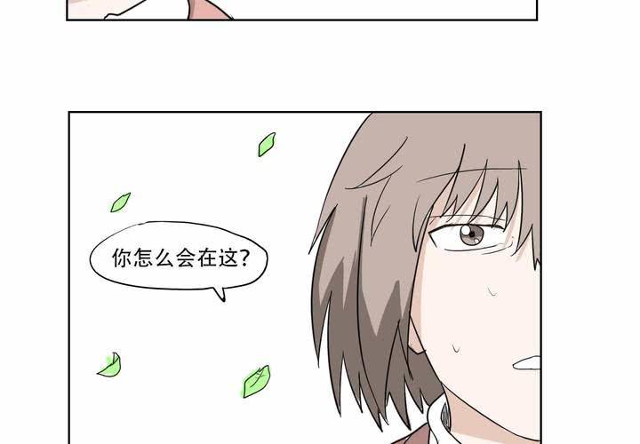 最终话38