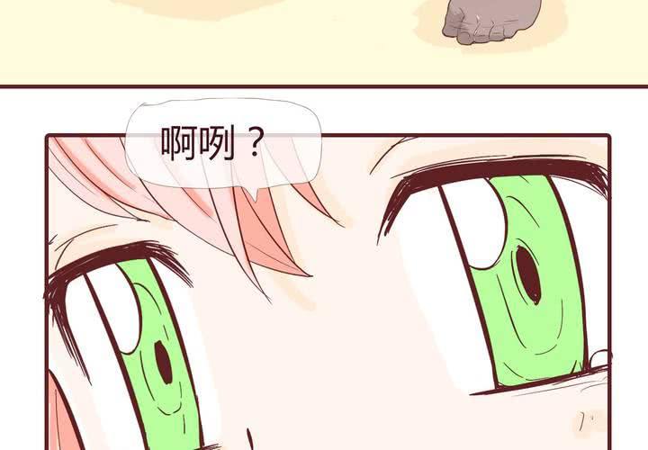 第十二话 波波的故事210
